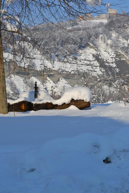 Trattoria Vecchio Mulino Niella Tanaro Bagian luar foto